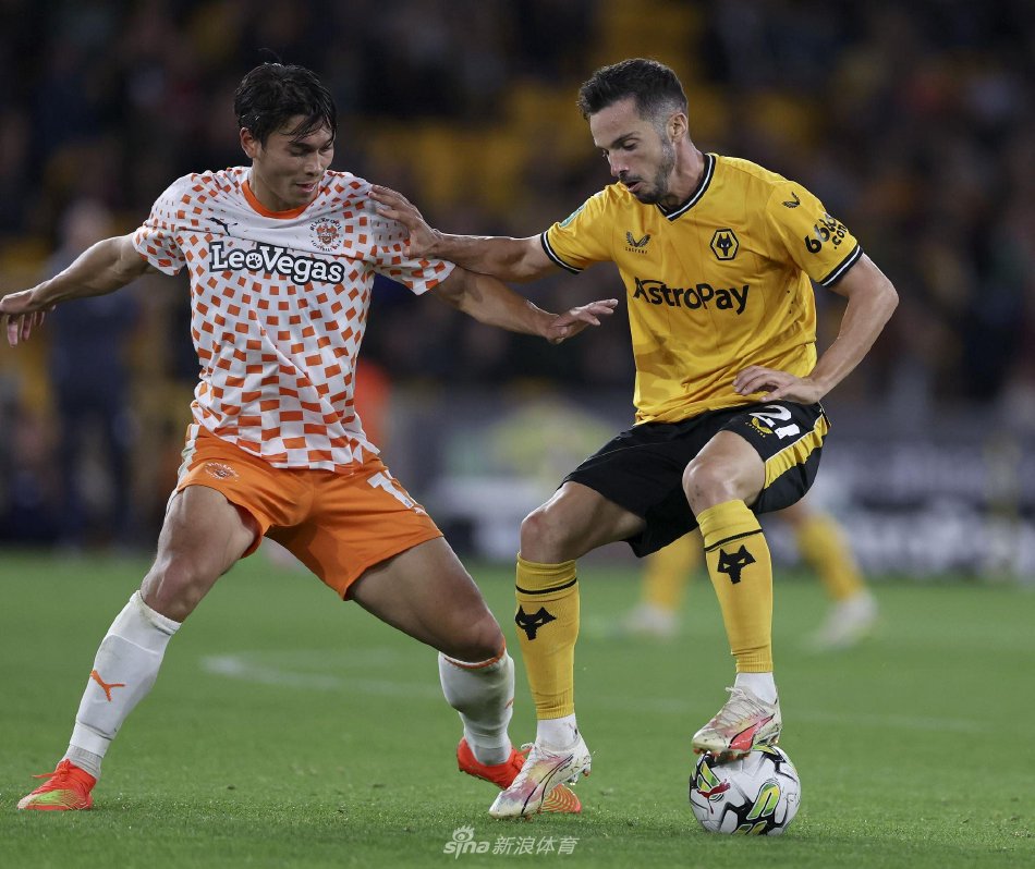 确实显示出 确实显示出